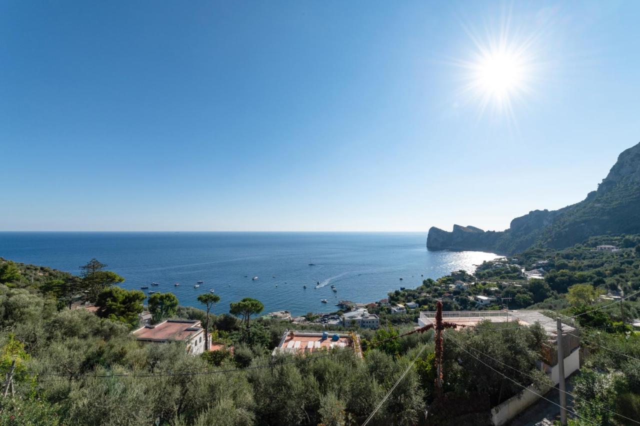 Main Roof Terrace Apartment Nerano Exterior photo